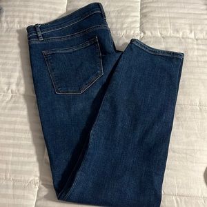 NWOT LOFT Modern Skinny Jean